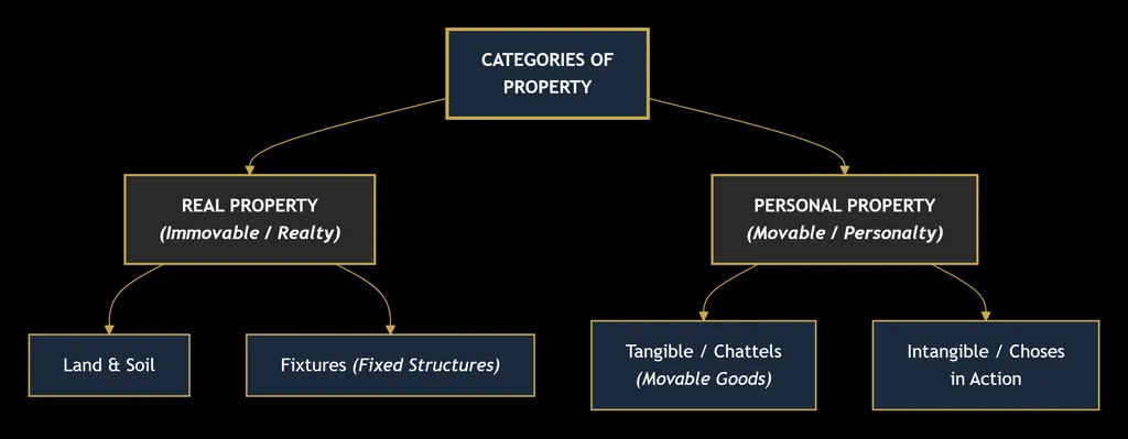 PROPERTY LAW