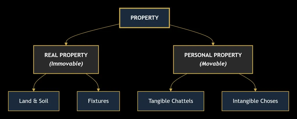 PROPERTY LAW