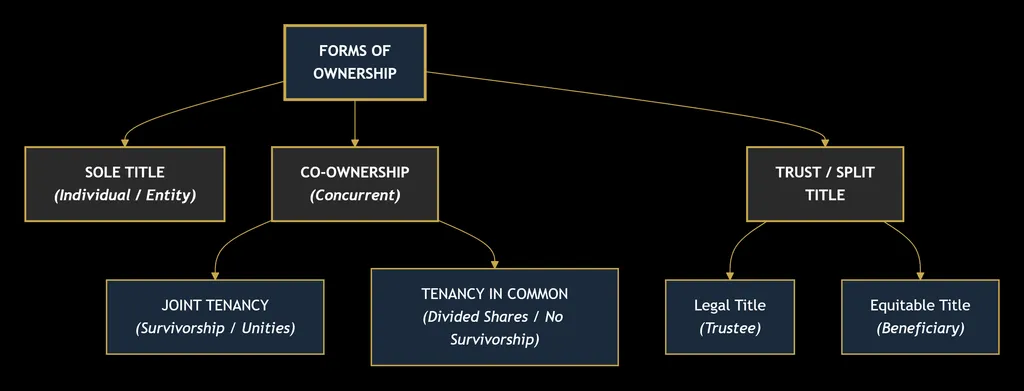 PROPERTY LAW
